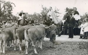 Bild von Neues in der Pfarrgemeinde